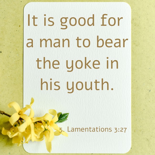 It is good for a man to bear the yoke in his youth. - 5. Lamentations 3:27