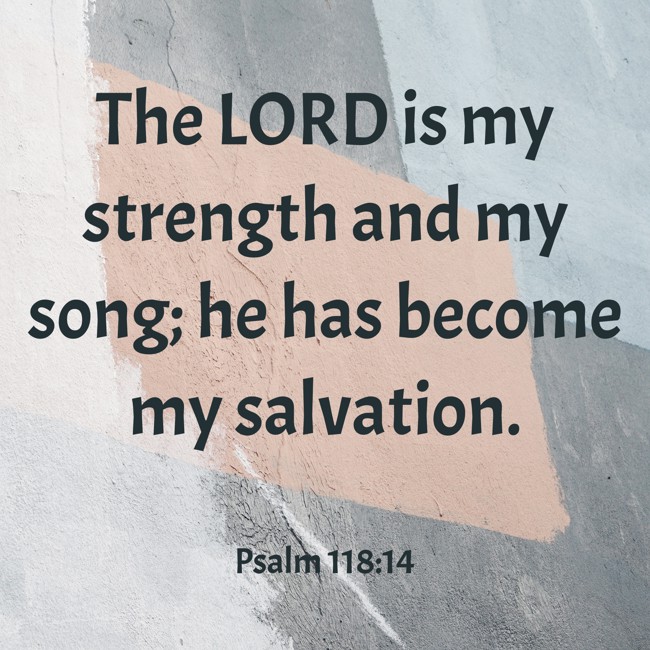 The LORD is my strength and my song; he has become my salvation. - Psalm 118:14