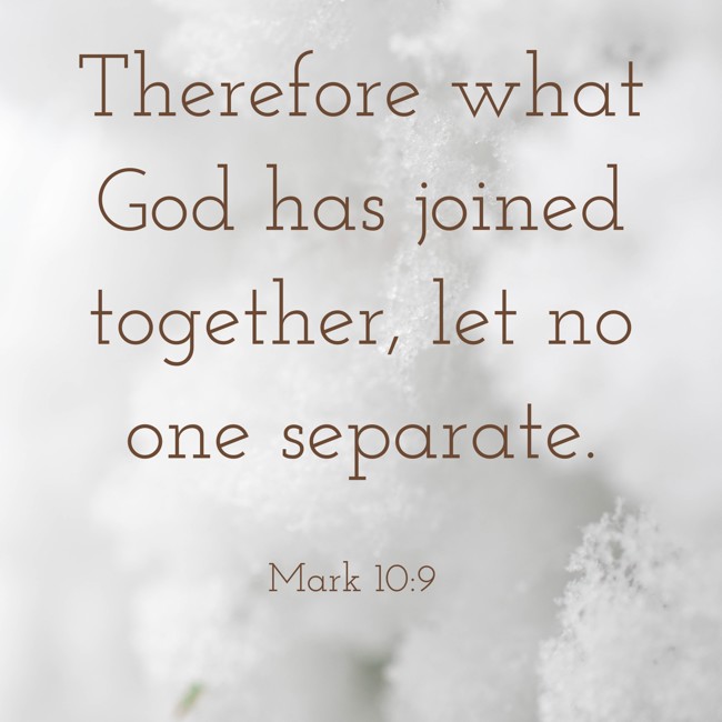 Therefore what God has joined together, let no one separate. - Mark 10:9
