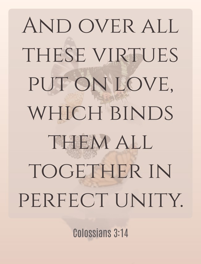 And over all these virtues put on love, which binds them all together in perfect unity. - Colossians 3:14
