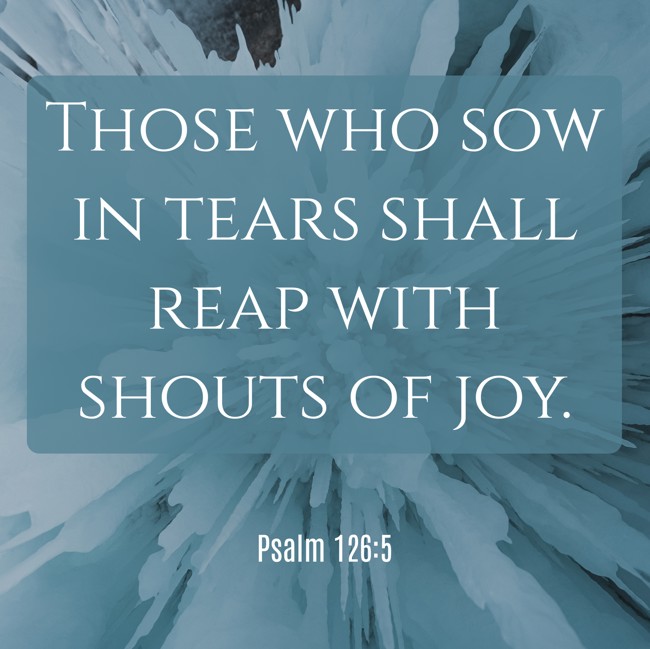 Those who sow in tears shall reap with shouts of joy. - Psalm 126:5