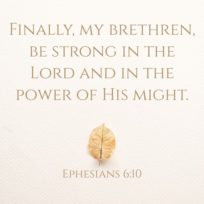 Finally, my brethren, be strong in the Lord and in the power of His might. - Ephesians 6:10