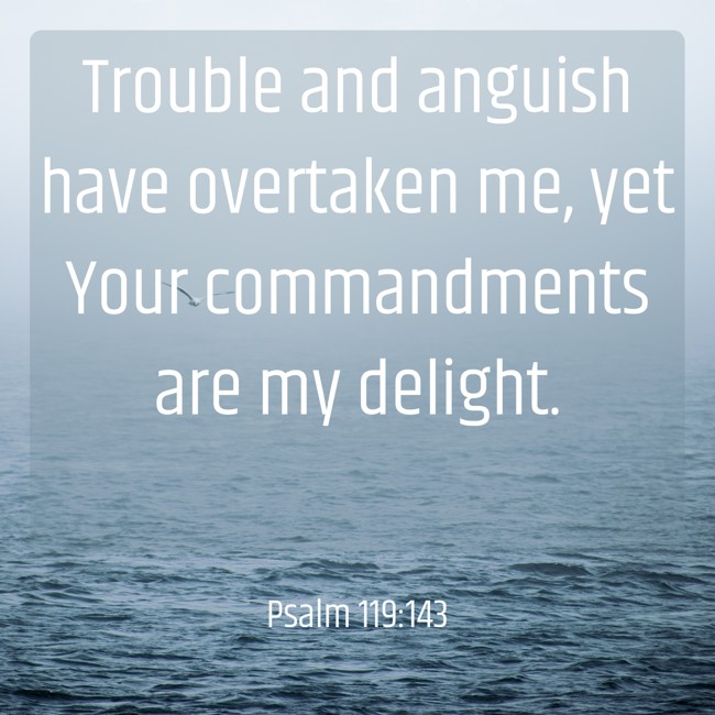 Trouble and anguish have overtaken me, yet Your commandments are my delight. - Psalm 119:143