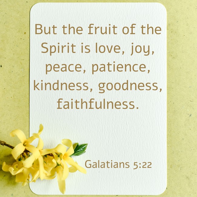 But the fruit of the Spirit is love, joy, peace, patience, kindness, goodness, faithfulness. - Galatians 5:22