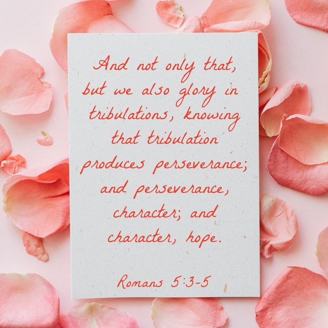 And not only that, but we also glory in tribulations, knowing that tribulation produces perseverance; and perseverance, character; and character, hope. - Romans 5:3-5