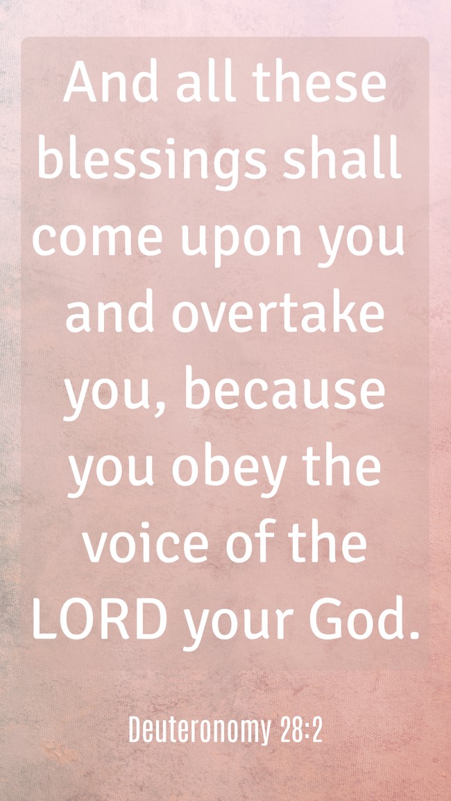 And all these blessings shall come upon you and overtake you, because you obey the voice of the LORD your God. - Deuteronomy 28:2