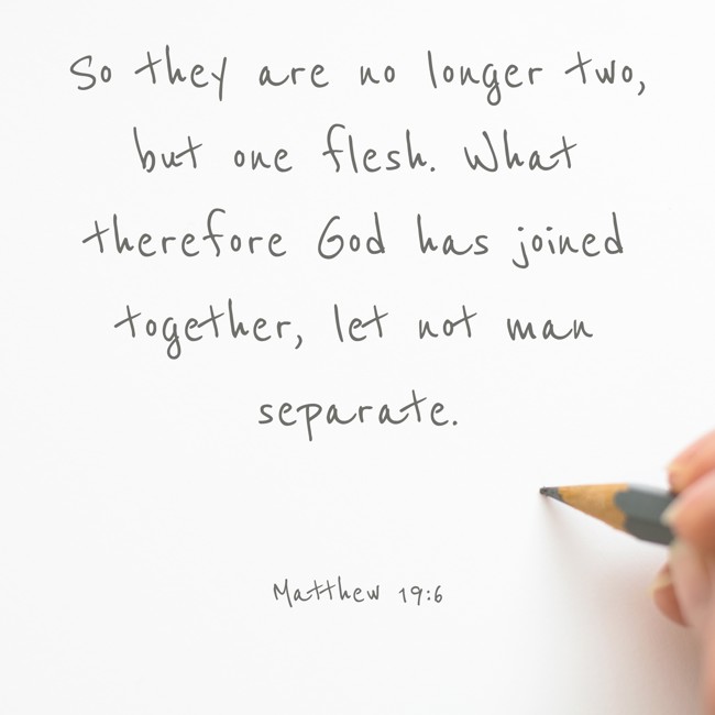So they are no longer two, but one flesh. What therefore God has joined together, let not man separate. - Matthew 19:6