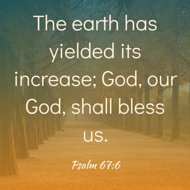 The earth has yielded its increase; God, our God, shall bless us. - Psalm 67:6