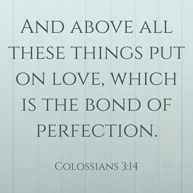 And above all these things put on love, which is the bond of perfection. - Colossians 3:14