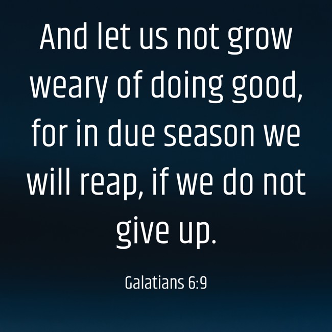 And let us not grow weary of doing good, for in due season we will reap, if we do not give up. - Galatians 6:9