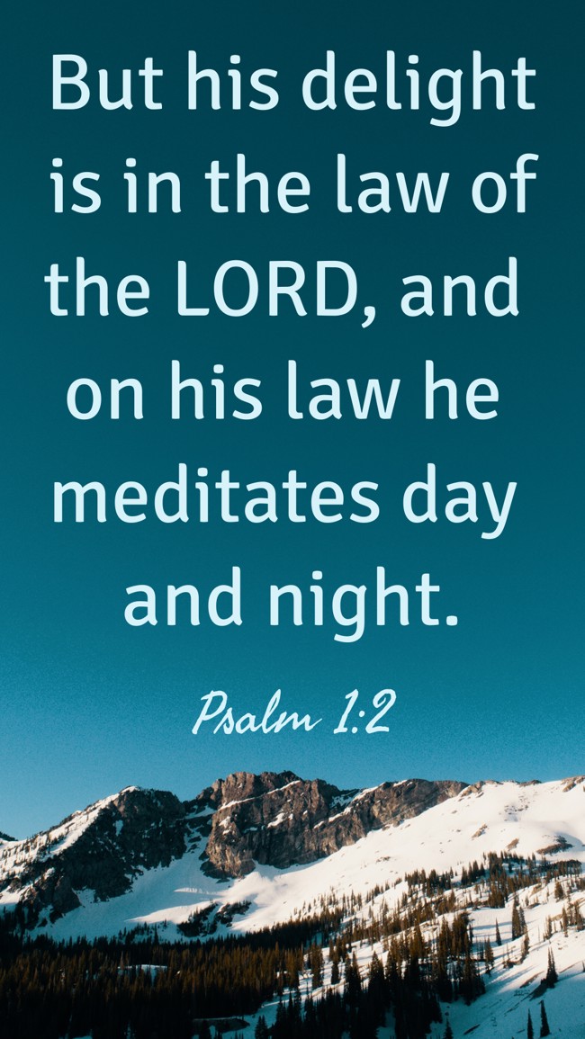  But his delight is in the law of the LORD, and on his law he meditates day and night.   - Psalm 1:2 