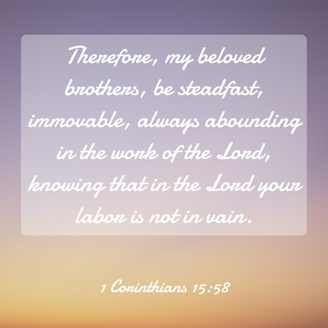 Therefore, my beloved brothers, be steadfast, immovable, always abounding in the work of the Lord, knowing that in the Lord your labor is not in vain.   - 1 Corinthians 15:58 
