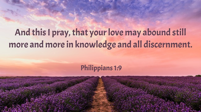 And this I pray, that your love may abound still more and more in knowledge and all discernment. - Philippians 1:9