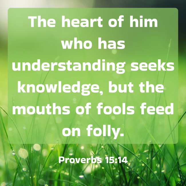  The heart of him who has understanding seeks knowledge, but the mouths of fools feed on folly.   - Proverbs 15:14 