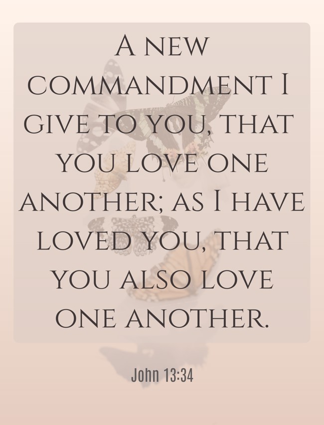 A new commandment I give to you, that you love one another; as I have loved you, that you also love one another. - John 13:34