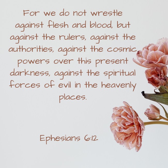 For we do not wrestle against flesh and blood, but against the rulers, against the authorities, against the cosmic powers over this present darkness, against the spiritual forces of evil in the heavenly places. - Ephesians 6:12