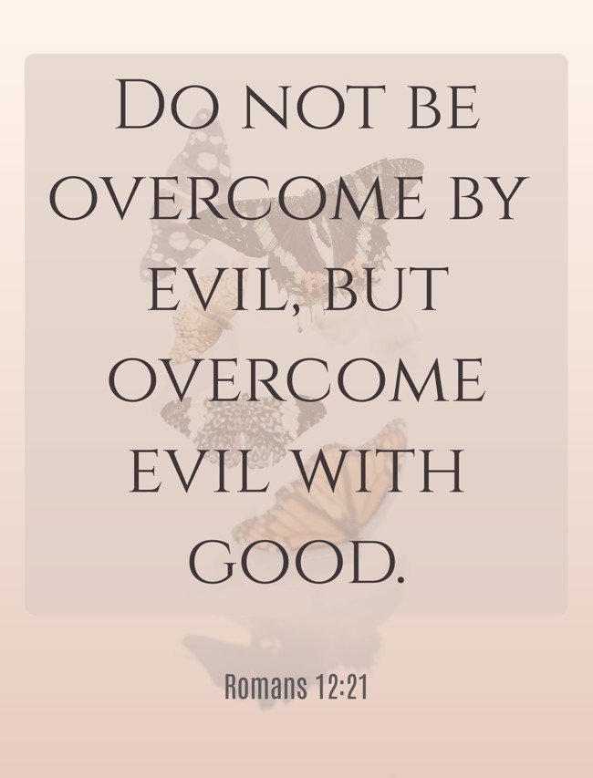 Do not be overcome by evil, but overcome evil with good. - Romans 12:21