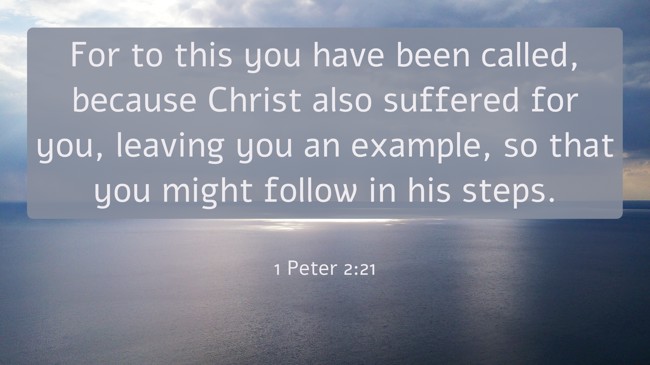 For to this you have been called, because Christ also suffered for you, leaving you an example, so that you might follow in his steps. - 1 Peter 2:21