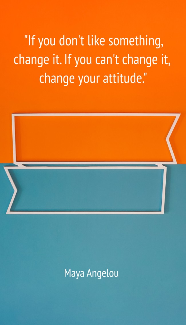 If you don't like something, change it. If you can't change it, change your attitude. - Maya Angelou