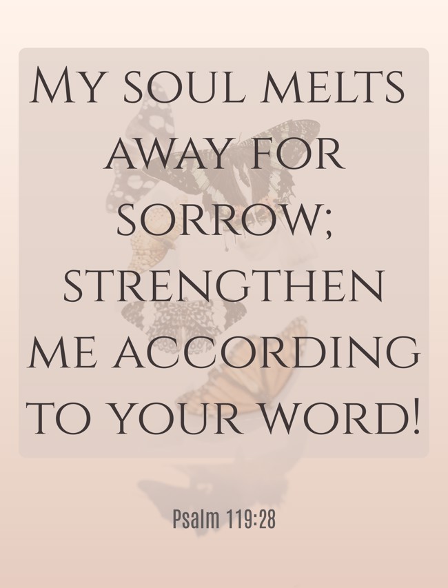 My soul melts away for sorrow; strengthen me according to your word! - Psalm 119:28