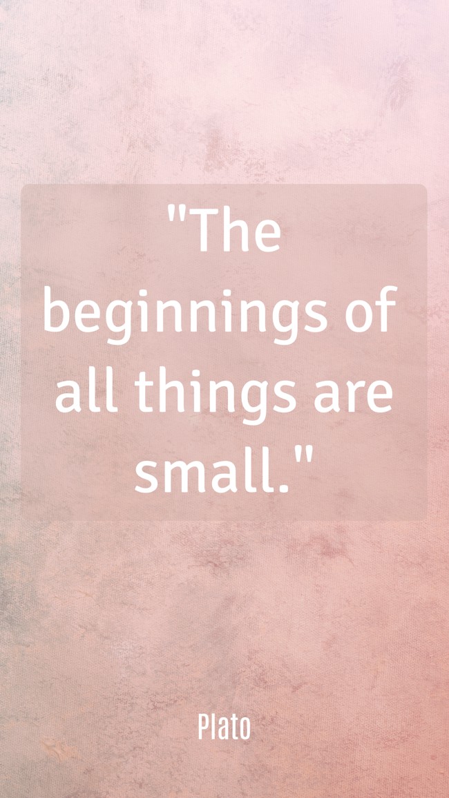 The beginnings of all things are small. - Plato