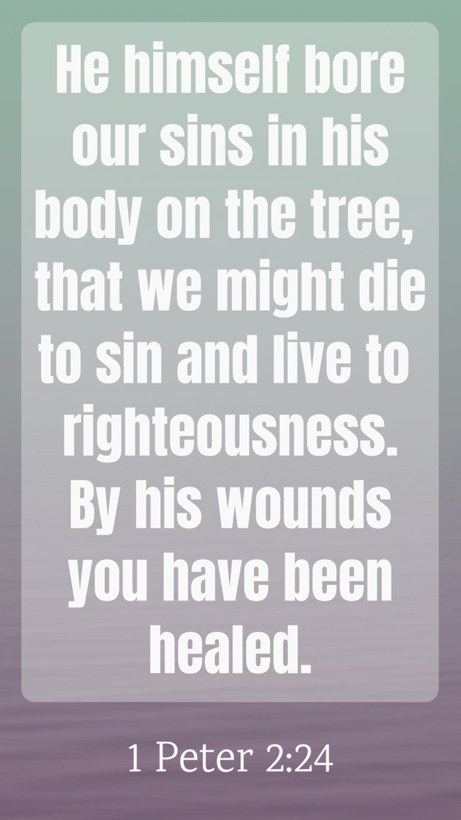  He himself bore our sins in his body on the tree, that we might die to sin and live to righteousness. By his wounds you have been healed.   - 1 Peter 2:24 
