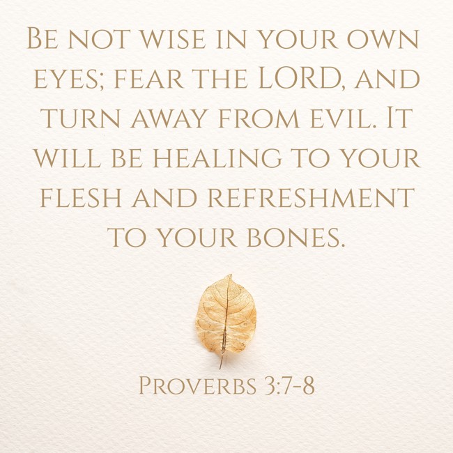  Be not wise in your own eyes; fear the LORD, and turn away from evil. It will be healing to your flesh and refreshment to your bones.   - Proverbs 3:7-8 
