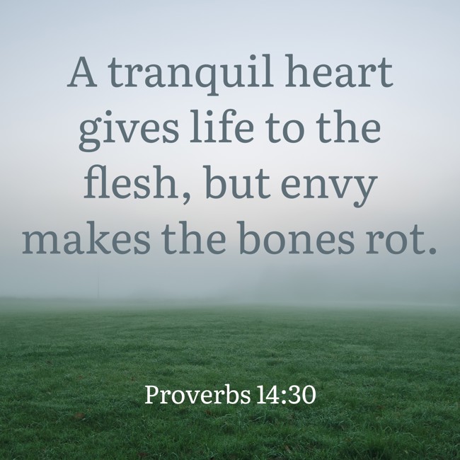  A tranquil heart gives life to the flesh, but envy makes the bones rot.   - Proverbs 14:30 