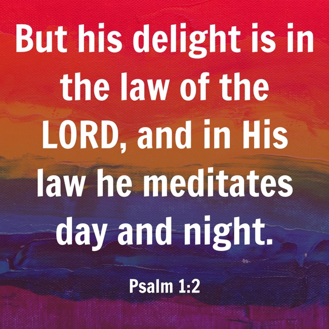  But his delight is in the law of the LORD, and in His law he meditates day and night.   - Psalm 1:2 