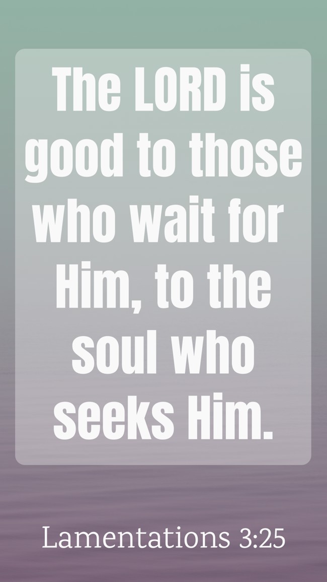  The LORD is good to those who wait for Him, to the soul who seeks Him.   - Lamentations 3:25 