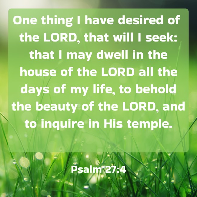  One thing I have desired of the LORD, that will I seek: that I may dwell in the house of the LORD all the days of my life, to behold the beauty of the LORD, and to inquire in His temple.   - Psalm 27:4 