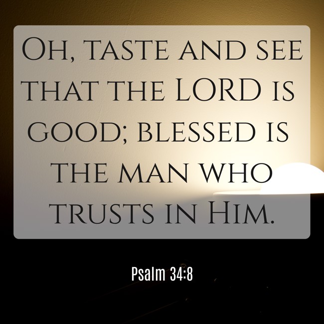  Oh, taste and see that the LORD is good; blessed is the man who trusts in Him.   - Psalm 34:8 