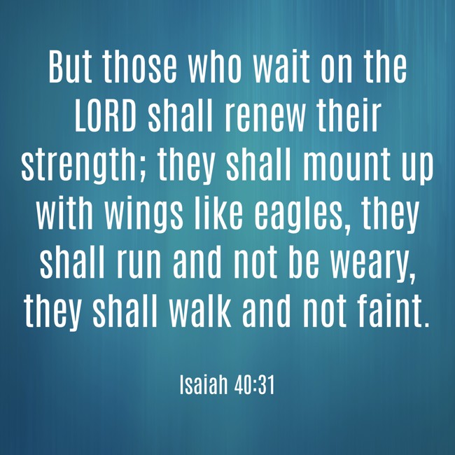  But those who wait on the LORD shall renew their strength; they shall mount up with wings like eagles, they shall run and not be weary, they shall walk and not faint.   - Isaiah 40:31 