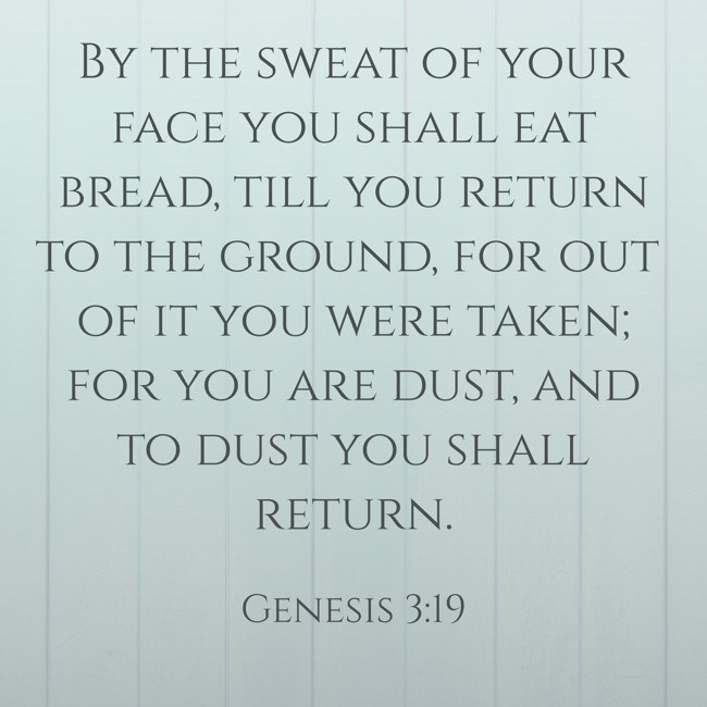 By the sweat of your face you shall eat bread, till you return to the ground, for out of it you were taken; for you are dust, and to dust you shall return. - Genesis 3:19