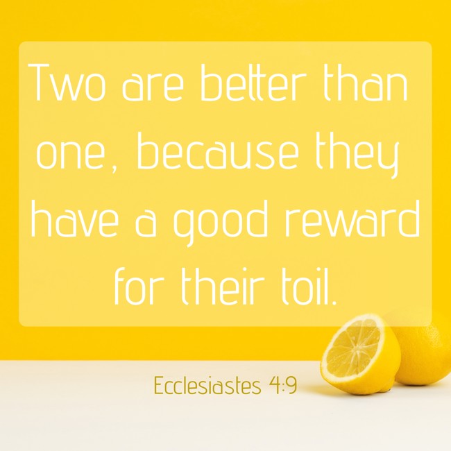 Two are better than one, because they have a good reward for their toil. - Ecclesiastes 4:9