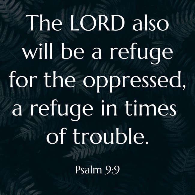 The LORD also will be a refuge for the oppressed, a refuge in times of trouble. - Psalm 9:9