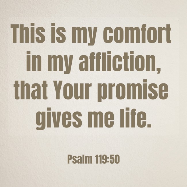 This is my comfort in my affliction, that Your promise gives me life. - Psalm 119:50