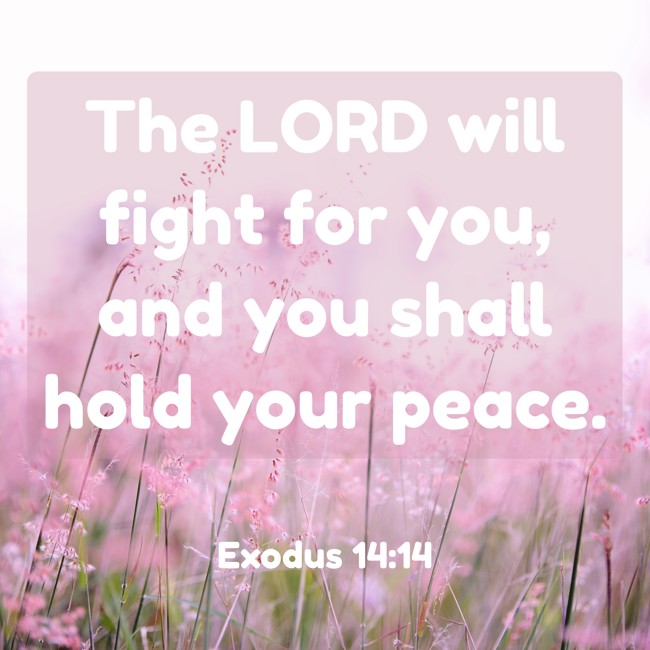 The LORD will fight for you, and you shall hold your peace. - Exodus 14:14