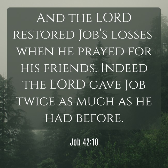 And the LORD restored Job’s losses when he prayed for his friends. Indeed the LORD gave Job twice as much as he had before. - Job 42:10