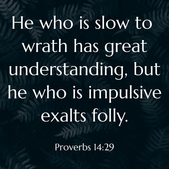 He who is slow to wrath has great understanding, but he who is impulsive exalts folly. - Proverbs 14:29