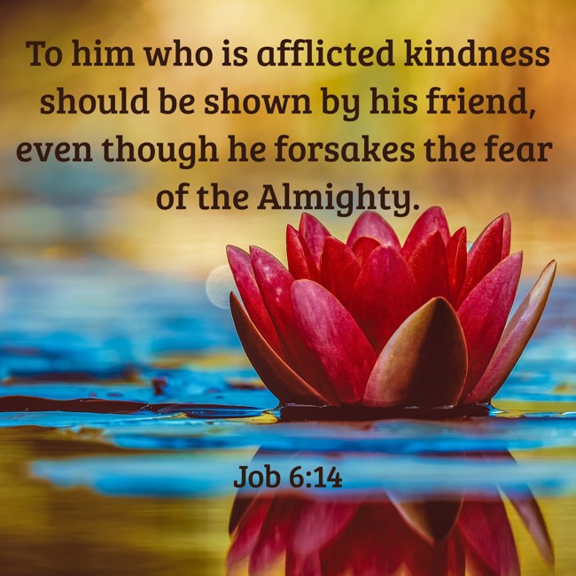 To him who is afflicted kindness should be shown by his friend, even though he forsakes the fear of the Almighty. - Job 6:14