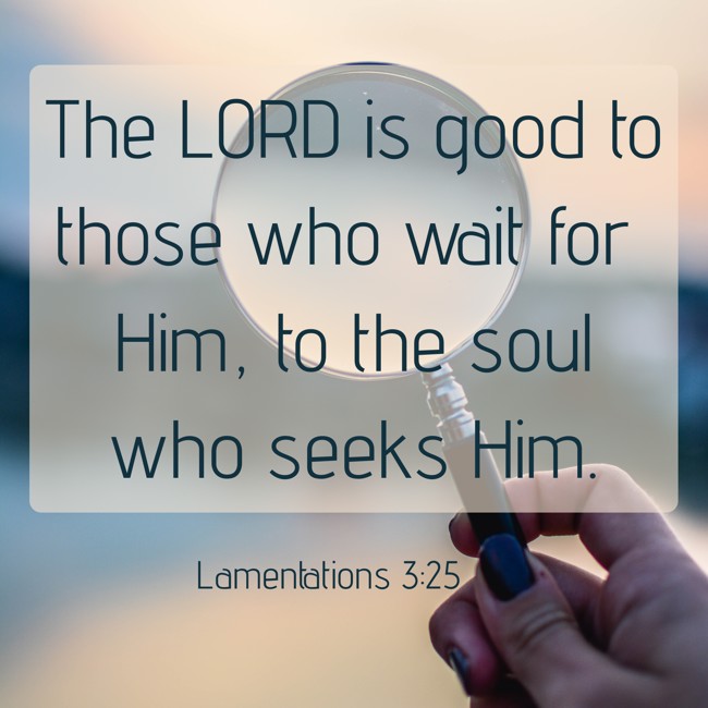 The LORD is good to those who wait for Him, to the soul who seeks Him. - Lamentations 3:25