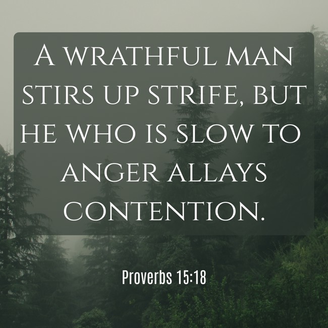 A wrathful man stirs up strife, but he who is slow to anger allays contention. - Proverbs 15:18