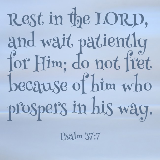 Rest in the LORD, and wait patiently for Him; do not fret because of him who prospers in his way. - Psalm 37:7