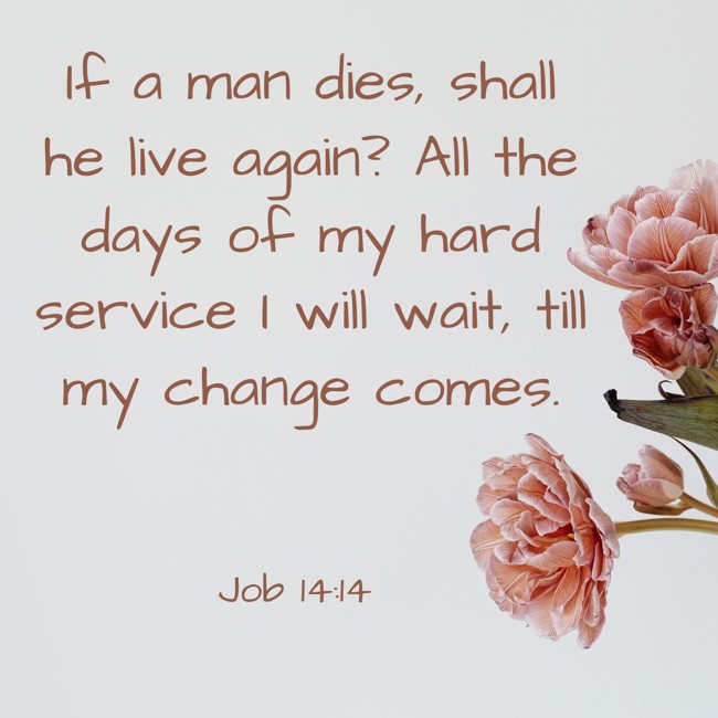 If a man dies, shall he live again? All the days of my hard service I will wait, till my change comes. - Job 14:14