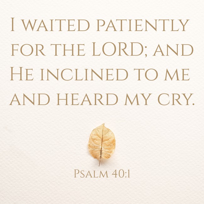I waited patiently for the LORD; and He inclined to me and heard my cry. - Psalm 40:1
