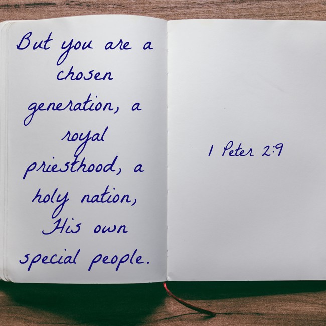But you are a chosen generation, a royal priesthood, a holy nation, His own special people. - 1 Peter 2:9