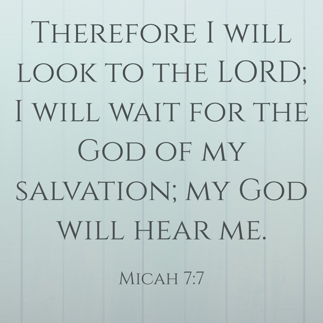 Therefore I will look to the LORD; I will wait for the God of my salvation; my God will hear me. - Micah 7:7
