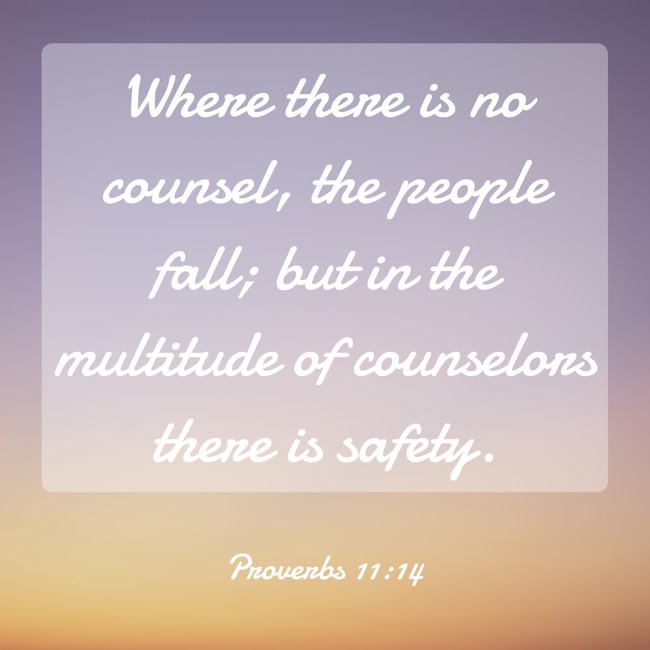 Where there is no counsel, the people fall; but in the multitude of counselors there is safety. - Proverbs 11:14