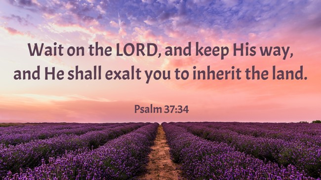 Wait on the LORD, and keep His way, and He shall exalt you to inherit the land. - Psalm 37:34
